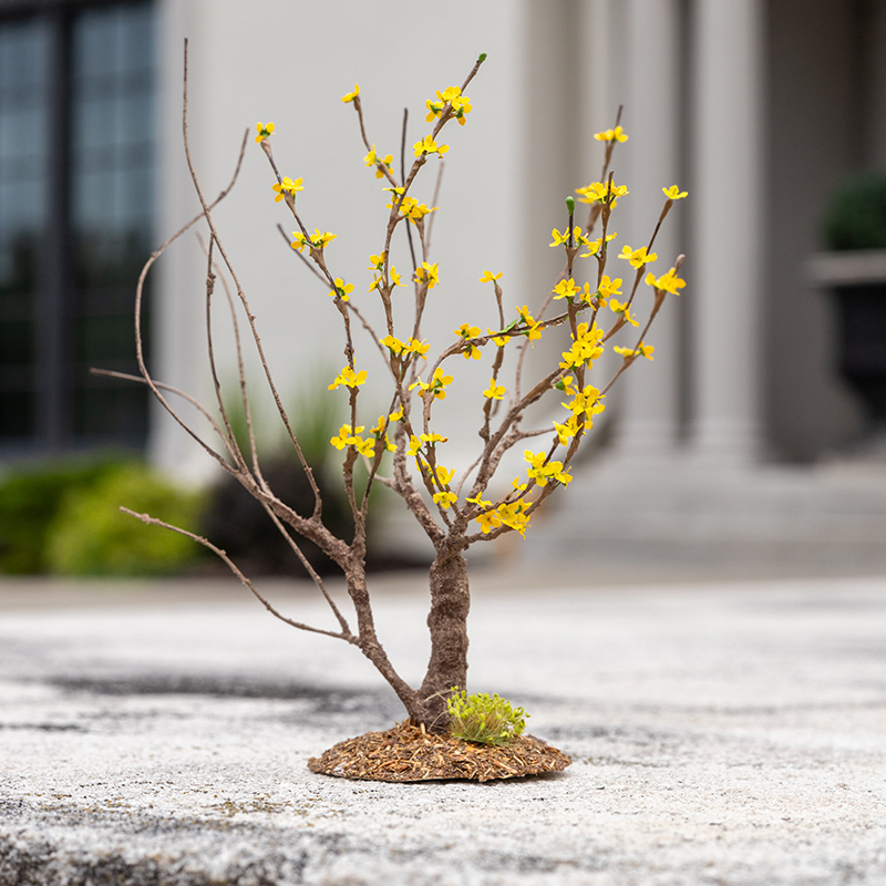 Flora and fauna miniatures, forsythia shrub